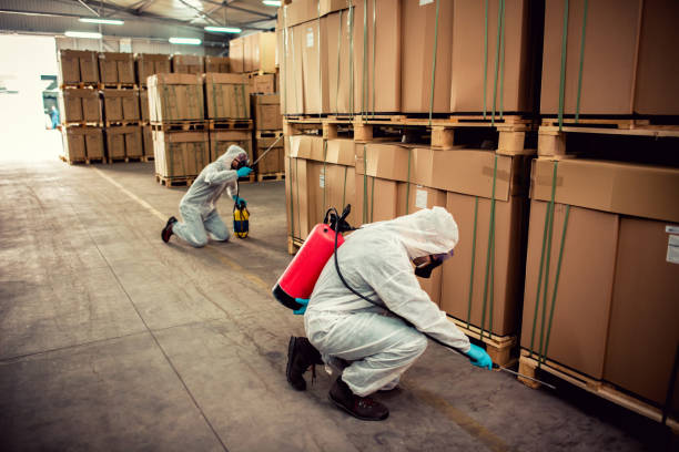 Best Local Pest Control Services  in Jarrell, TX