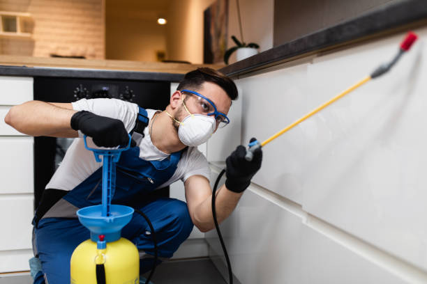 Best Wasp Removal Services  in Jarrell, TX