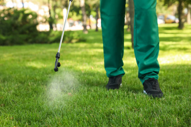 Best Pest Inspection Near Me  in Jarrell, TX