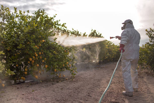 Best Rodent Control Near Me  in Jarrell, TX
