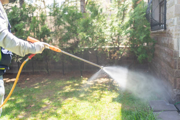 Best Wildlife Control Services  in Jarrell, TX