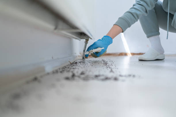 Best Pest Removal Services  in Jarrell, TX